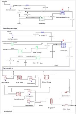 Techno-Economic Analysis as a Driver for Optimisation of Cellobiose Lipid Fermentation and Purification